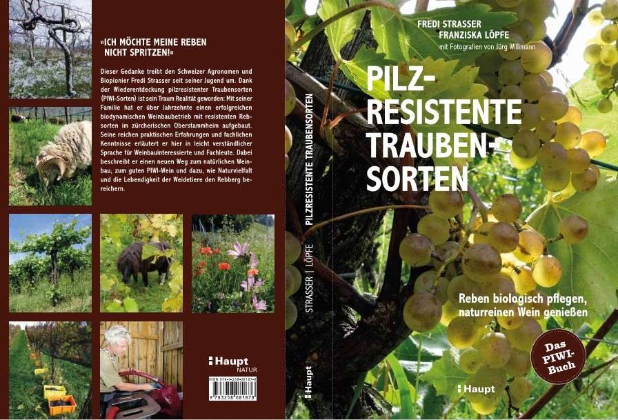 PIWI Book Strasser Cover