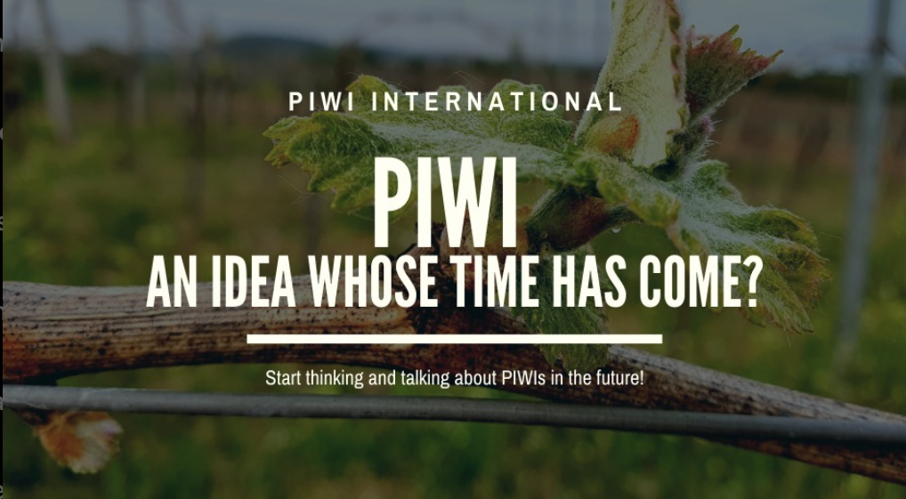 PIWI an idea whose time has come-schmal