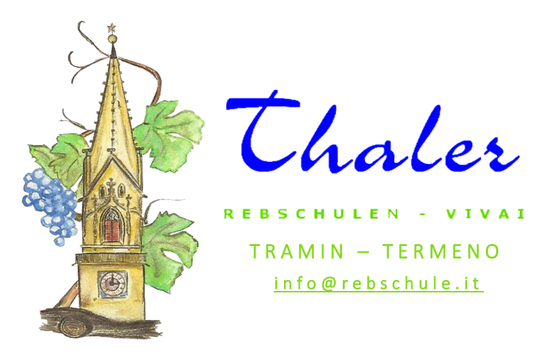 Thaler Rebschule
