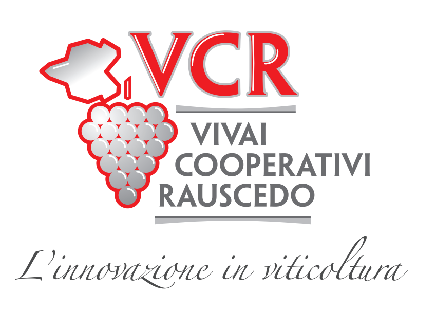 VCR logo estratto